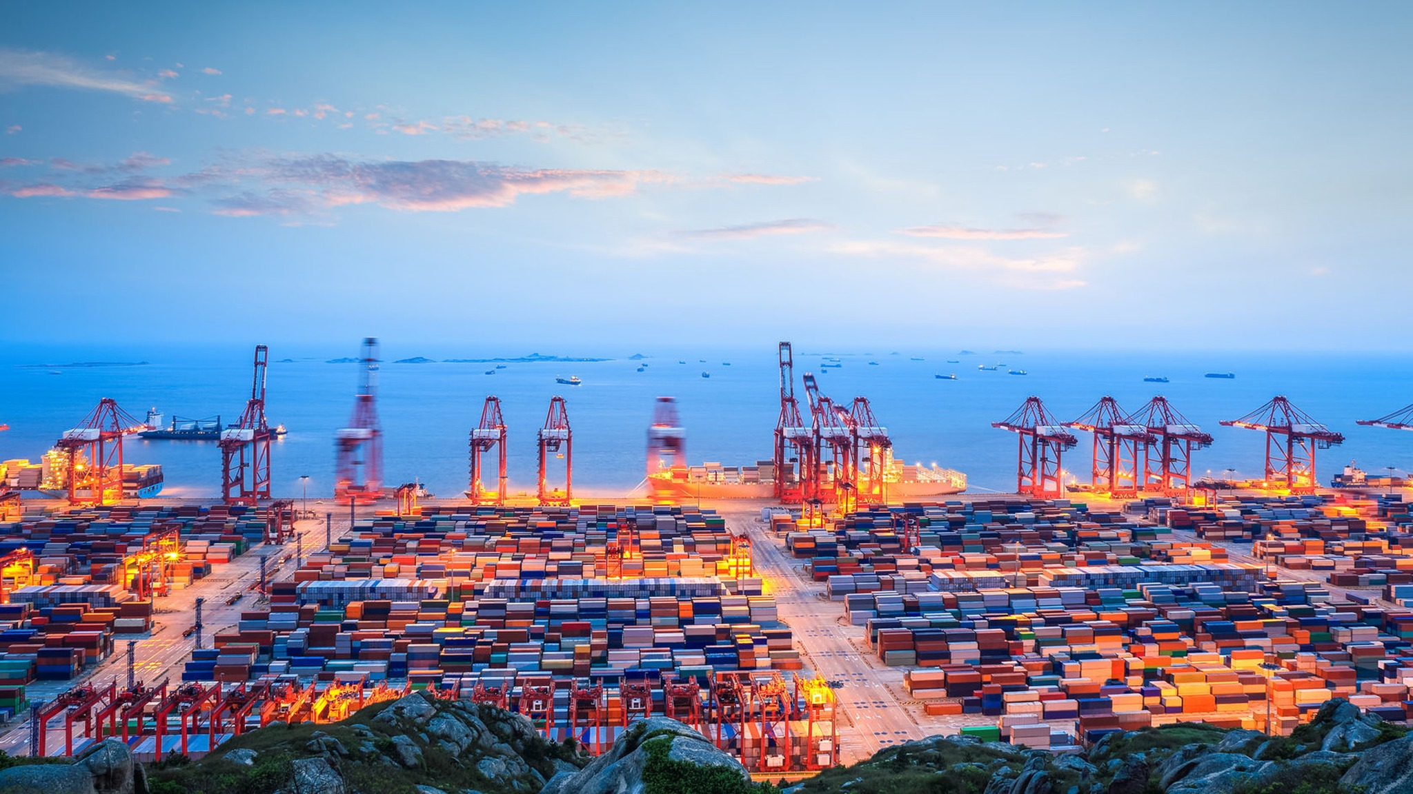 Logistics professional managing customs clearance documents for Mexico